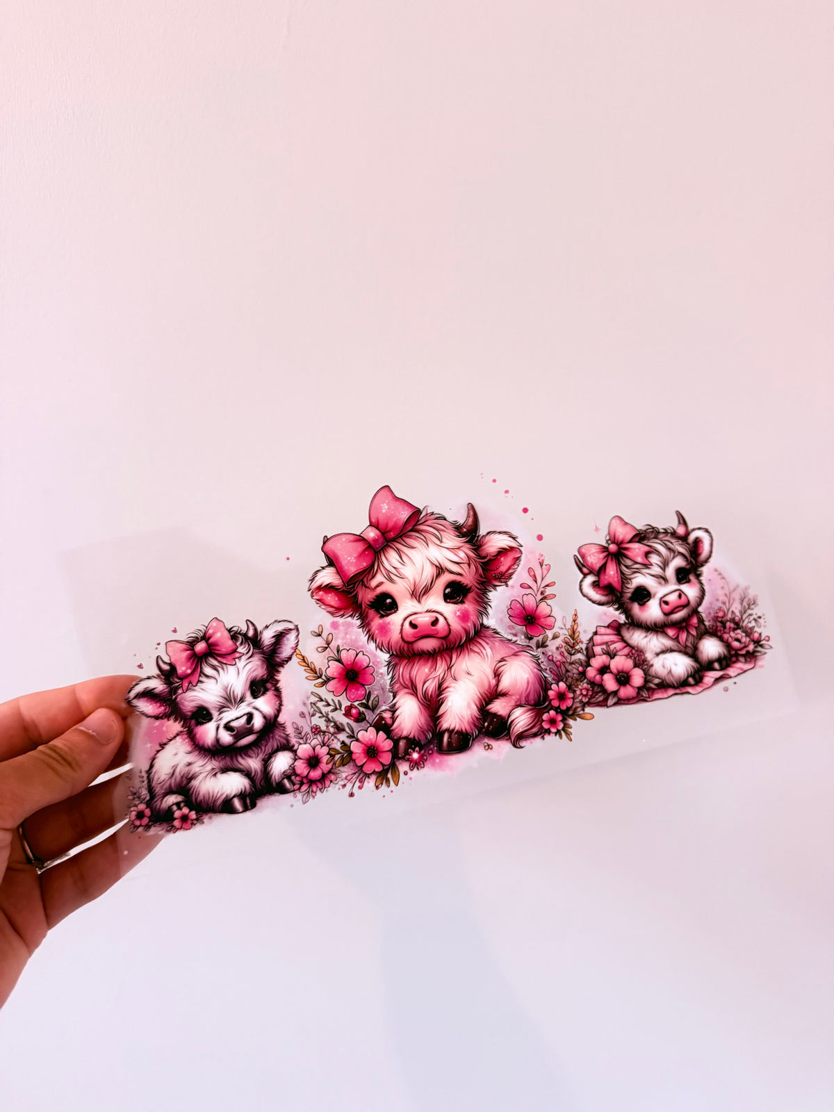 Animals