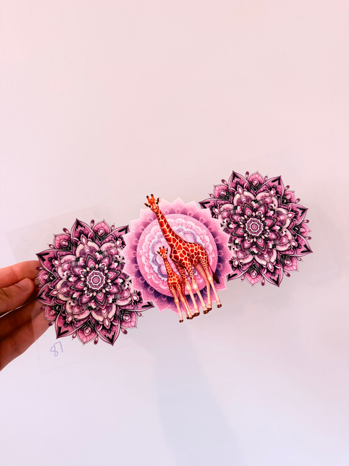 Animals